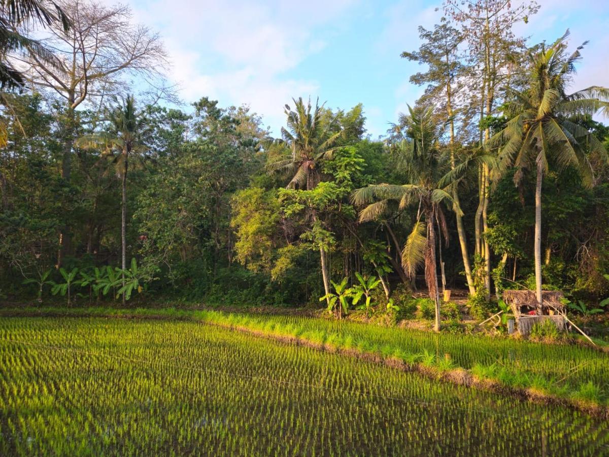 Pondok Diana Yuki Jasri Bagian luar foto